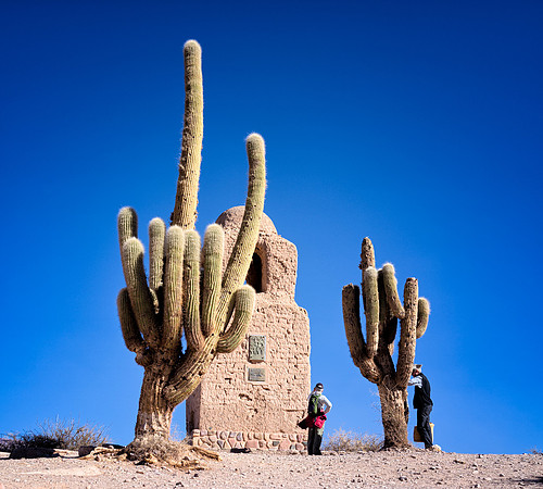 Salta