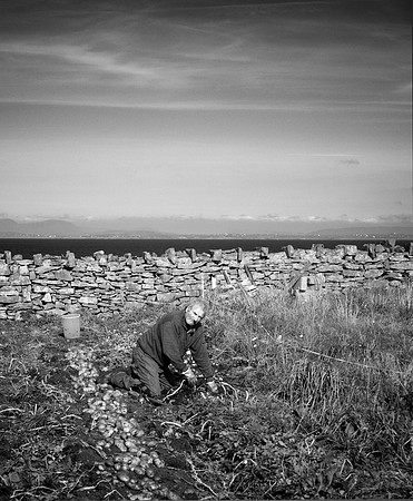 Aran Islands, Ireland 2