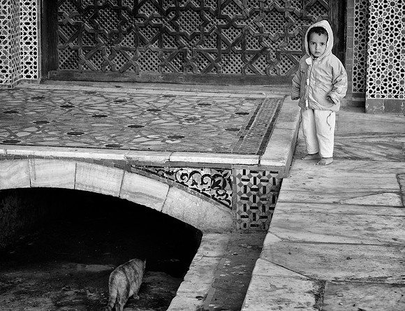 Fes, Morocco #4