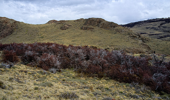 Chalton, Patagonia