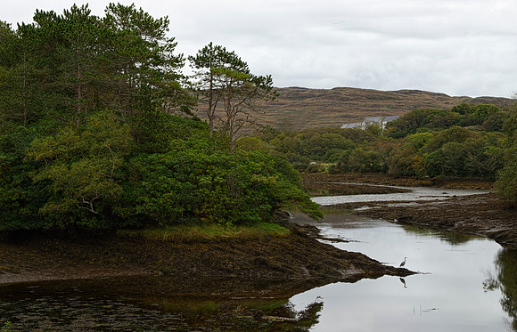 Ireland 10-12 0319