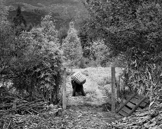Chinese Peasant With Basket
