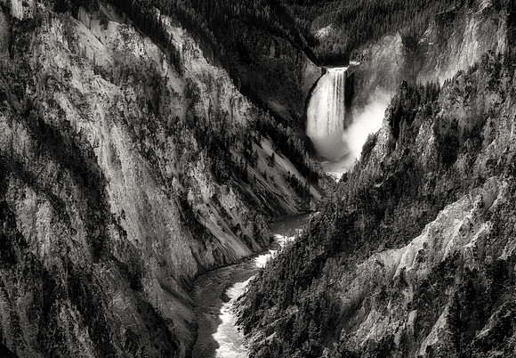 Yellowstone Falls