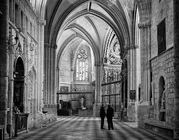 In the Cathedral