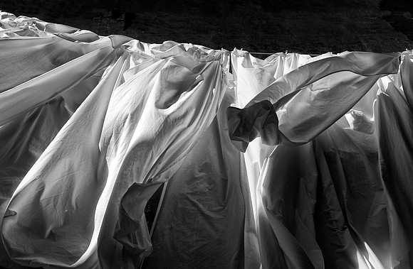 Blowing in the Wind